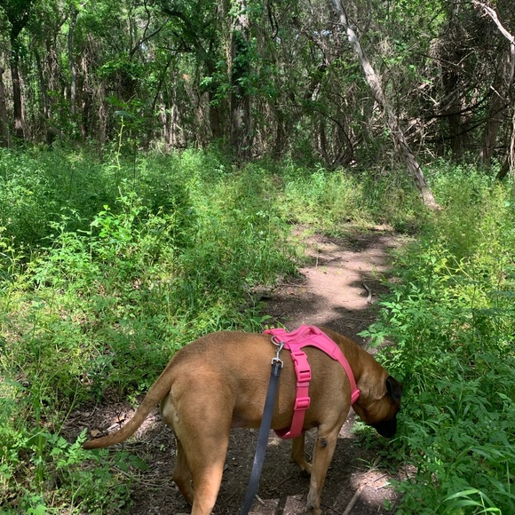 Meet your Posher, Tatamara - Picture 2 of 2